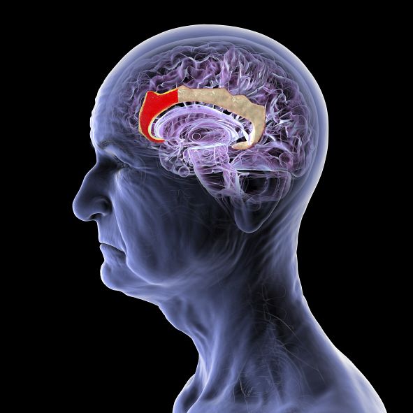 This Chinese Startup Wants to Build a New Brain-Computer Interface—No Implant Required